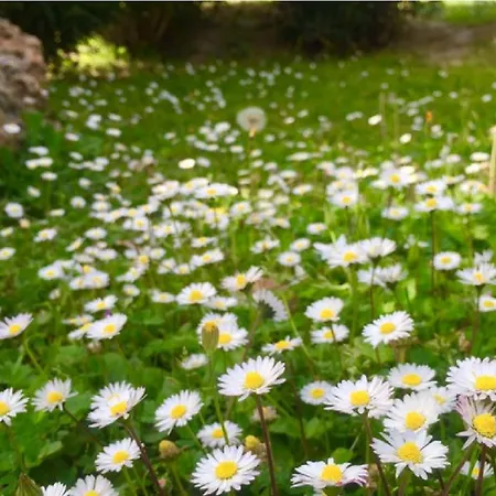 Alloggio per agriturismo Le Cascatelle